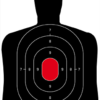 Birchwood Casey Dirty Bird Target BC-27 Silhouette 12×18 in. 8 pk