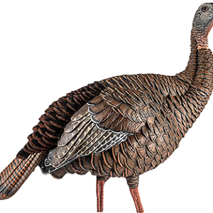 Avian X HDR Hen Decoy
