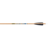 Gold Tip Traditional XT Arrows 340 5 in. Feathers 6 pk.
