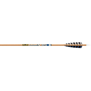 Gold Tip Traditional XT Arrows 340 5 in. Feathers 6 pk.