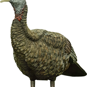 Avian X Lookout Turkey Decoy