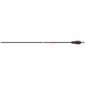 Gold Tip Hunter Arrows 400 4 in. Feathers 6 pk.