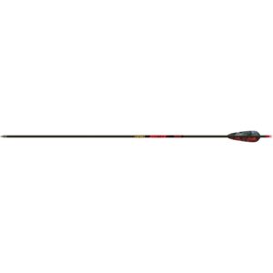 Gold Tip Hunter Arrows 400 4 in. Feathers 6 pk.