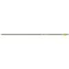 Gold Tip Hunter Pro Arrows 400 4 Fletch 6 pk.