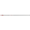 Victory RIP Sport Arrows 300 2 in. Vanes 6 pk.